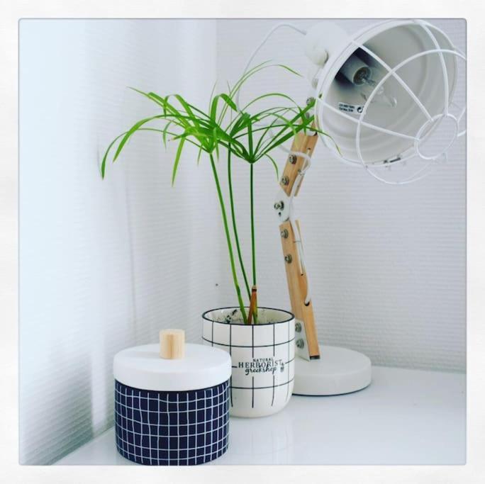 Apartment Le Cour Des Anglais, Hyper Centre, Marche La Rochelle (Charente-Maritime)